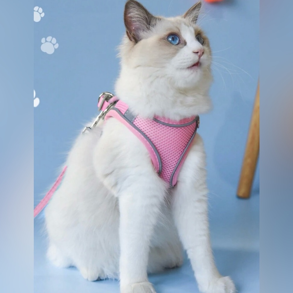 🔥5/$25🔥NEW 1pc Breathable Reflective Vest Harness For Cats/Dots Size Medium